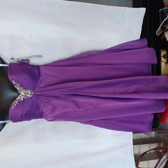 Liza Fields Formal Dress, Beaded, amethyst color, NWT,  Size 0 - Picture 1 of 9